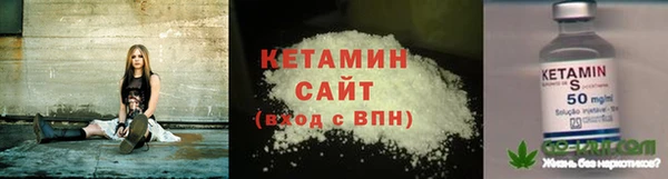 сатива Балахна