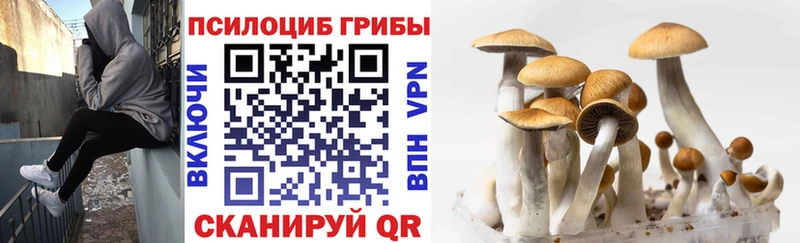 Галлюциногенные грибы Magic Shrooms  Георгиевск 